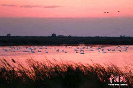 ږ|IS뺣һȺZϦϢҒʳ(YψD) z