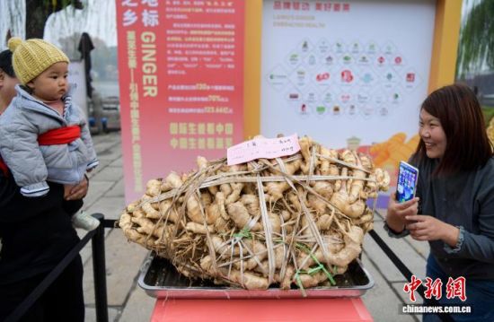 118գ2025Rʏ^(q)f(zhn)ِУԆ38.75ǧ@áQ̖һ಩[2025Ї•(Rʏ)ʮÇHa(chn)I(y)[RʏYOUxƷм}ƏVڝϴ_ĻԆ38.75ǧ@áQ̖һ಩[οv^pӛ  z