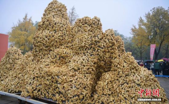 118գο2025Ї•(Rʏ)ʮÇHa(chn)I(y)[RʏYOUxƷм}ƏV^pɽ2025Ї•(Rʏ)ʮÇHa(chn)I(y)[RʏYOUxƷм}ƏVڝϴ_ĻԆ38.75ǧ@áQ̖һ಩[οv^pӛ  z