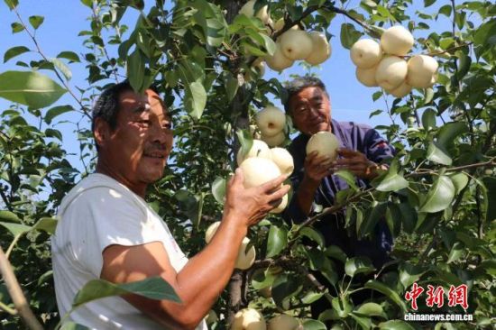 ʝІοh(zhn)fǧ@æժ֒οhhίD