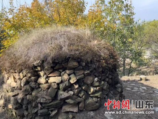 D҈@^(q)Rɽʯo(j) 50 ̩ɽҎ(gu)ģֲ(sh)gϼֈ(chng) z