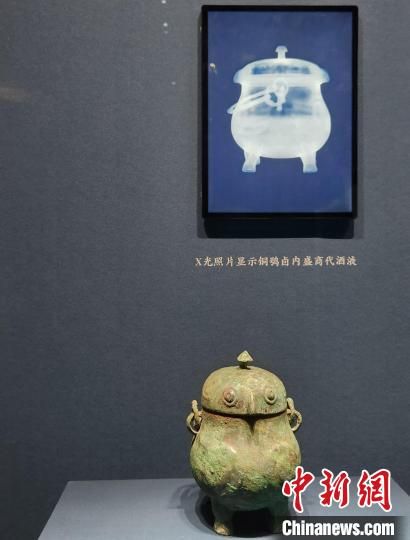 D̴~^գXƬ@ʾ(ni)ʢҺw z