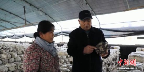 Sf()ڎ͹r(nng)Nֲy}|^(q)ίD