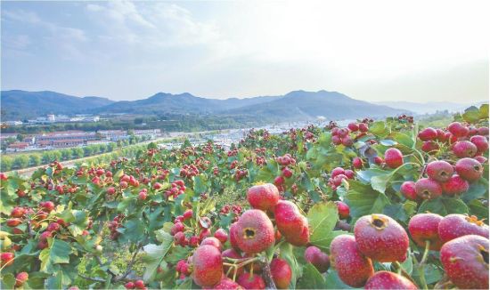 HRԿh^(zhn)Сt׃ɡ¸(YψD)