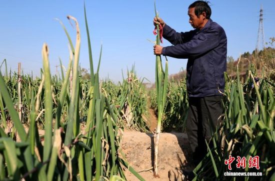 1119գɽ|N[мҡl(f)gٳһһ˸ߵĴ[ӛ w z