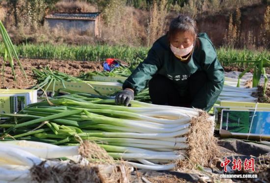 1119ɽ|[r(nng)g^ի@Ĵ[bӛ w z