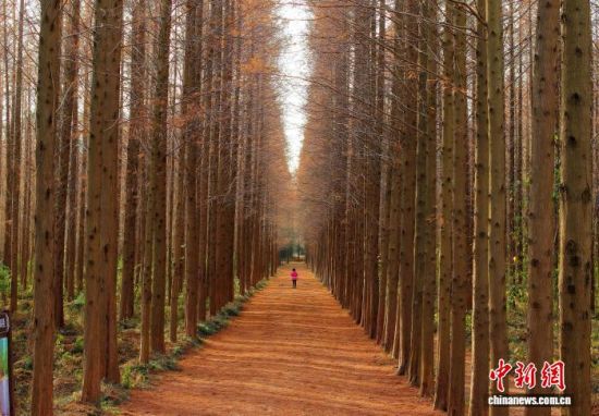 121պIɭֹ@ˮɼֱϦӳճůɫӰ(o˙C(j)Ƭ) z