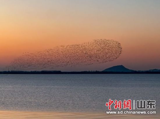 �D��H���{ɽ���B�����^(�zӰ �{ɽ�����ø]�|��)